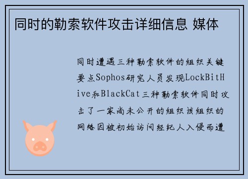 同时的勒索软件攻击详细信息 媒体