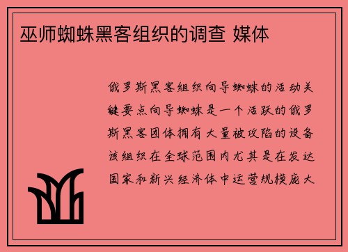 巫师蜘蛛黑客组织的调查 媒体